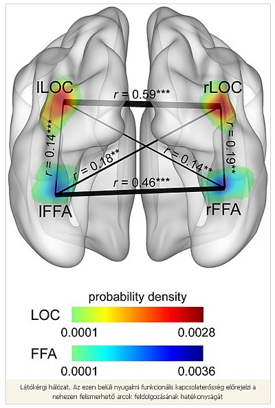 Mire képes (még) az agyunk?