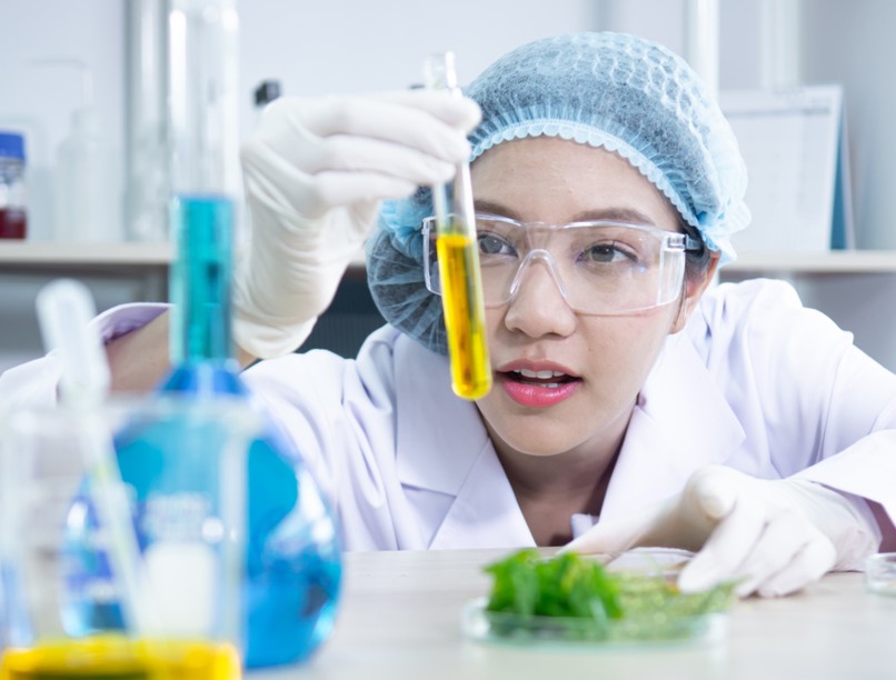 szőlő, magas vérnyomás, krónikus betegség