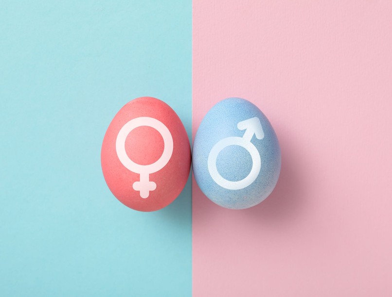 hím embrió nőstény nem vas kutatás