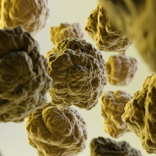 Mennyit ér valójában a koleszterinszint figyelése a vérben? című cikk nyitóképe