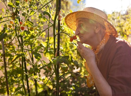 Az orr már évekkel korábban jelezheti a bajt: így szagolható ki az Alzheimer-kór! című cikk nyitóképe