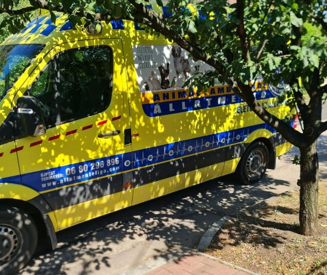 20 percre megálltak vacsorázni az állatmentők Budapesten, feljelentették őket