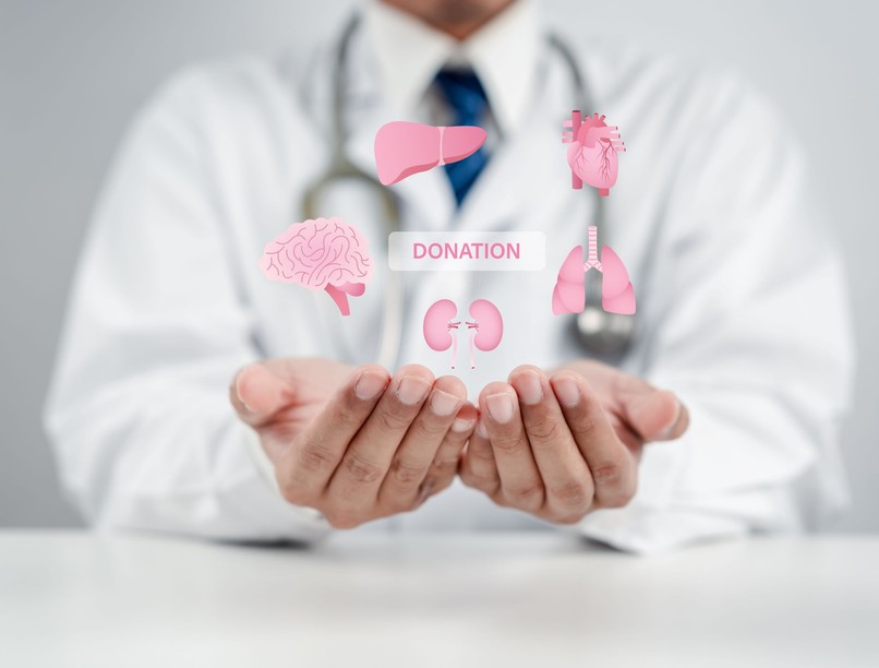 hírek magyar szervátültetés verseny