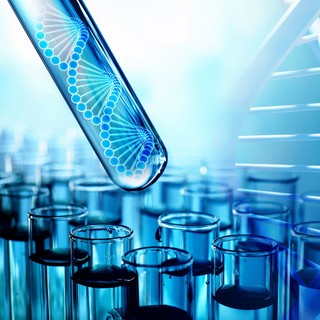 Az anyós DNS-tesztet követelt, mert az unokája úgy nézett ki, mint a szomszédja - az eredmény megdöbbentette című cikk nyitóképe