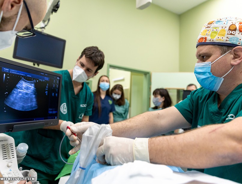 fagyasztás, rákkezelés, daganat, rákterápia, Semmelweis Egyetem