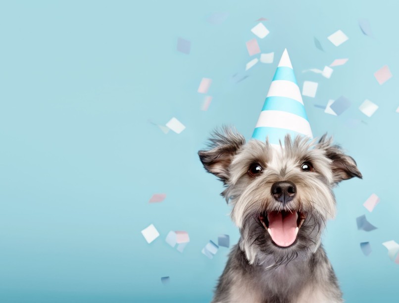 kutya hány éves kiszámolás