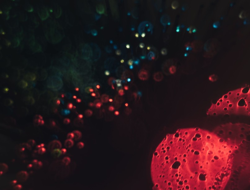 daganatok melyik rák a legrosszabb