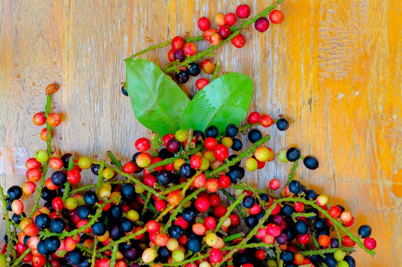 A vaspótlás lépcsőfokai