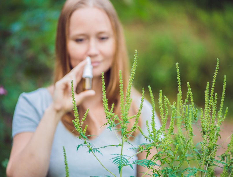 parlagfű, allergia, szénanátha, pollenallergia, allergia kezelése