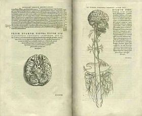 Az orvoslás története – dióhéjban: Középkor és reneszánsz