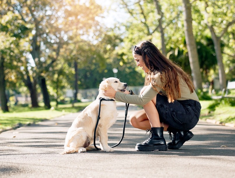 Mit jelent az, ha valaki minden kutyát megsimogat