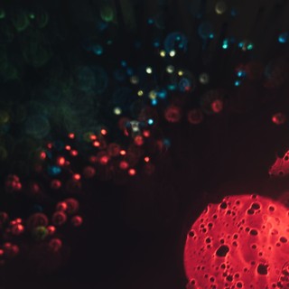 Ez a rák a legrosszabb - csendben pusztít, tünetek nélkül! A diagnózis utáni 5 évet a betegek 11 százaléka éli túl című cikk nyitóképe