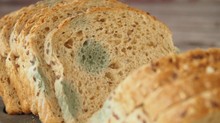 Tegyen egy kockacukrot a kenyér mellé - meglepően sokáig friss maradhat tőle című cikk nyitóképe