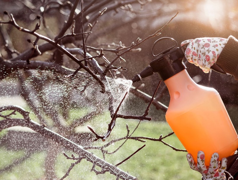 hamis növényvédő veszély Nébih hírek