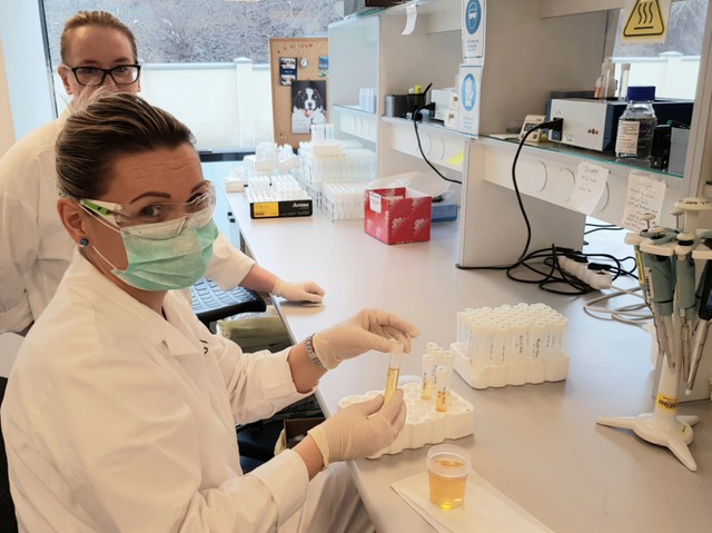 Megcsalt a párom, ha neki más HPV-fertőzése van, mint nekem?