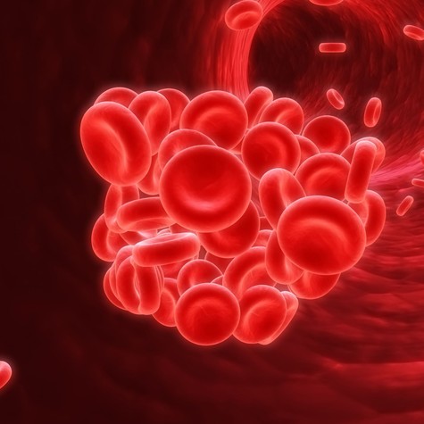 Mitől alakul ki a vérrög, és hogyan lehet csökkenteni a kockázatát? című cikk nyitóképe