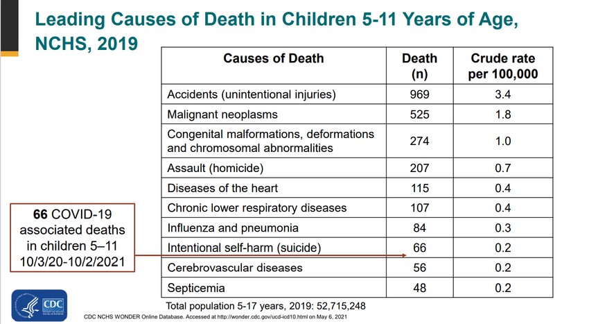 Az 5-11 korban elhunytak halálának oka 19%-ban a Covid-19 betegség volt
