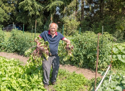 Már a halál kapujában állt: majdnem 3 kilogramm céklát evett meg hetente egy férfi! című cikk nyitóképe