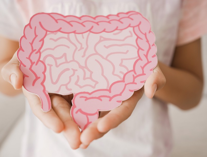 mikrobiom, bélflóra, prepiotikum, immunrendszer