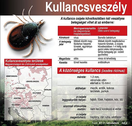 Kis képes kullancskalauz