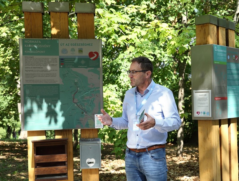 kardiotanösvény, Normafa, mozgás, túra, szívbetegség