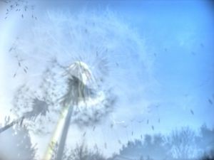 Közös program a kora gyermekkori allergia megelőzésére