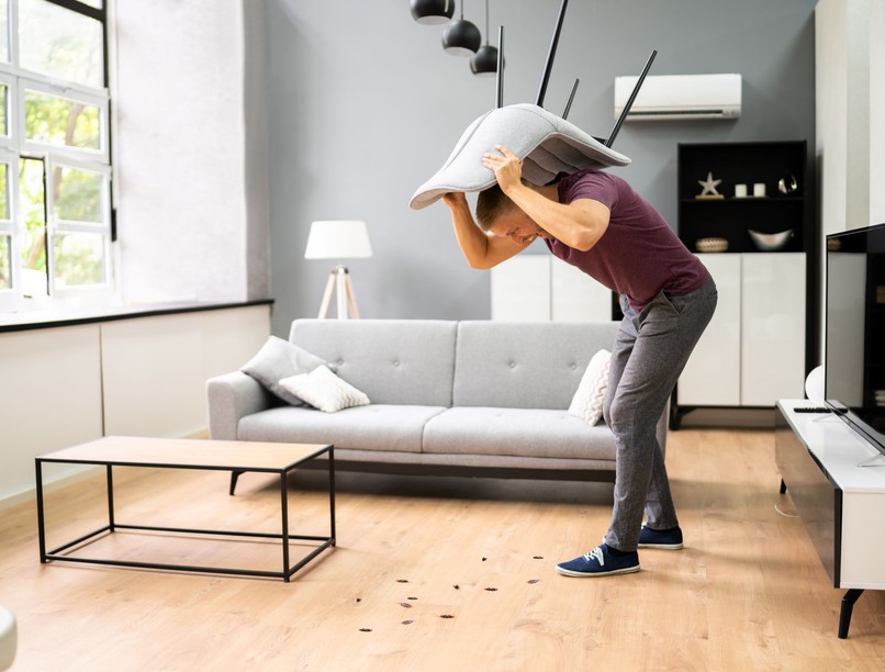 erdei csótány betegség ártalmatlan klímaváltozás