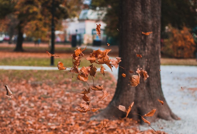 Orvosmeteorológia: nyugtalanságot, alvászavart okozhat pénteken a kettősfront