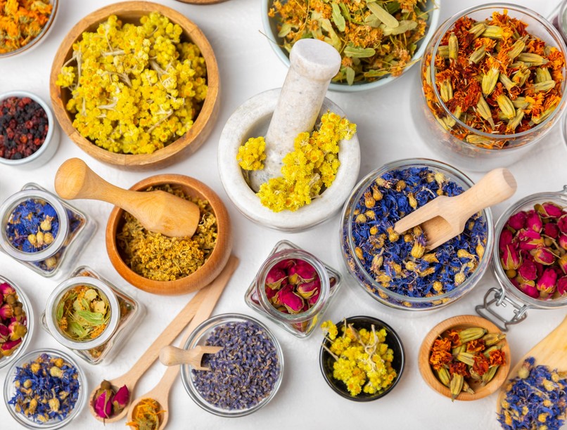 fitoterápia gyógynövény egészség gyógyszer