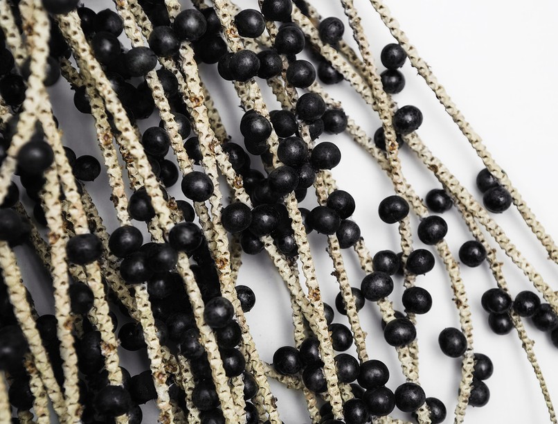 antioxidáns acai bogyó rák ellen feltételezett előny, objektív hatásmellékhatás