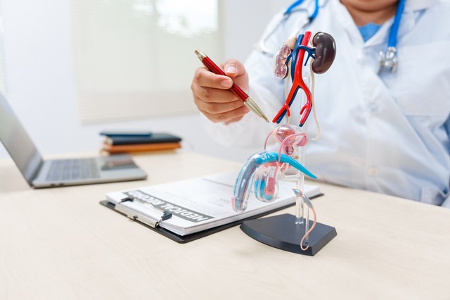 Hererák: tünetek, önvizsgálat, kezelés és a leggyakoribb kérdések válaszokkal