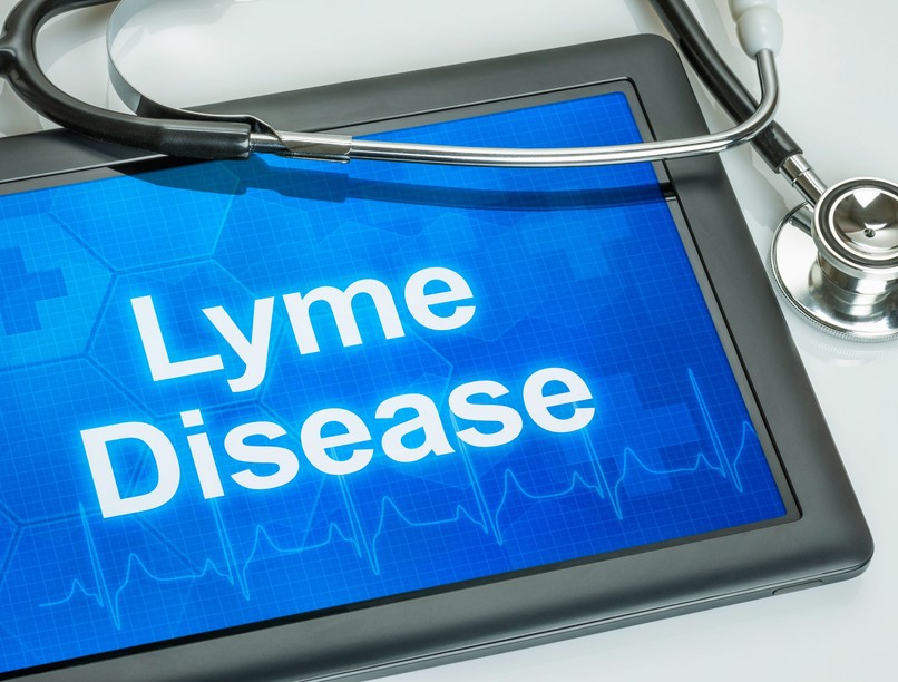 gyógyszerkutatások lyme-kór elleni vakcina VLA15