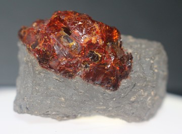 Egy darabka barnakőszénen ülő ajkai borostyánkő, másnéven ajkait (fotó Szabó Márton)