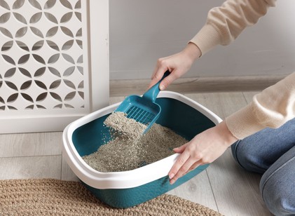 Ezért tegyen télen egy macskaalommal teli zoknit az autójába – nem vicc! című cikk nyitóképe