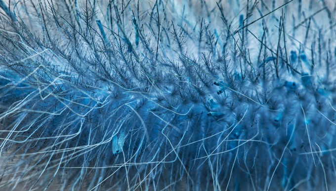 Ez lehet az új azbeszt! Súlyos egészségügyi kockázatra figyelmeztetnek a nanoszálak kutatói című cikk nyitóképe