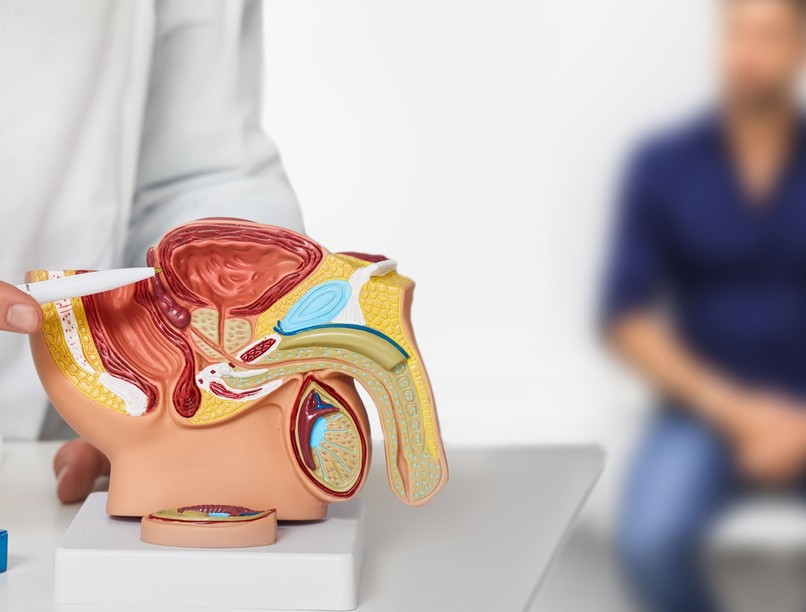 húgyhólyagtükrözés, fáj, vizsgálat, cisztoszkópia