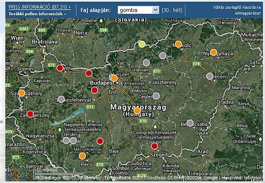 Pollenhelyzet - a héten