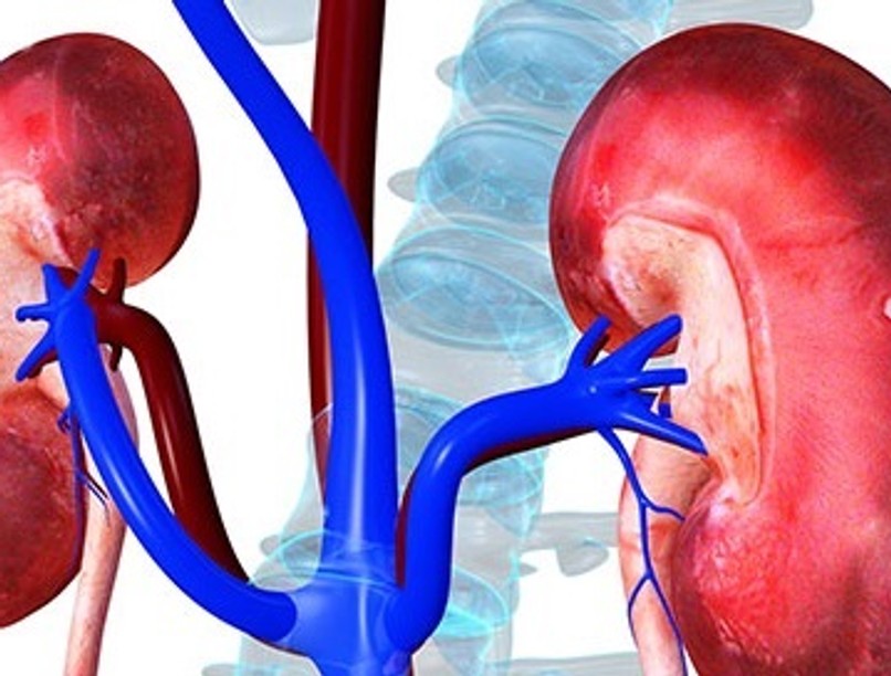 share-kidney-failure_0