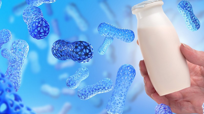 legjobb probiotikum emésztés bélflóra