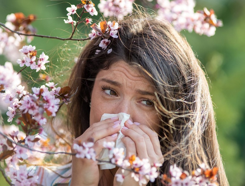 fűzfa nyírfa pollen allergia húsvét barka