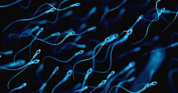  Tudja meg, mit árul el a spermája az egészségéről 