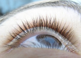 Pollenallergia: szem- és bőrtünetek