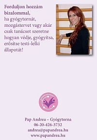 Gyógytorna a mindennapokhoz - Pap Andrea füzete a mozogni vágyóknak