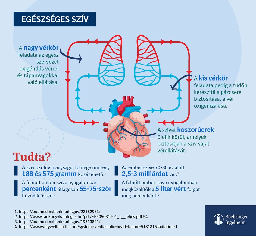 Fokozatosan kialakuló lábdagadás, terhelésre jelentkező fulladás, általános rossz közérzet esetén forduljon háziorvosához, aki szükség esetén kardiológiai szakorvosi vizsgálatra irányítja. Ha kifejezett fulladást, nehézlégzést, véres köpet felköhögését, hirtelen folyadékfelszaporodást, gyors vagy szabálytalan szívverést, esetleg erős, nem szűnő mellkasi fájdalmat tapasztal, azonnal hívja a 112-t, és kérjen mentőt!