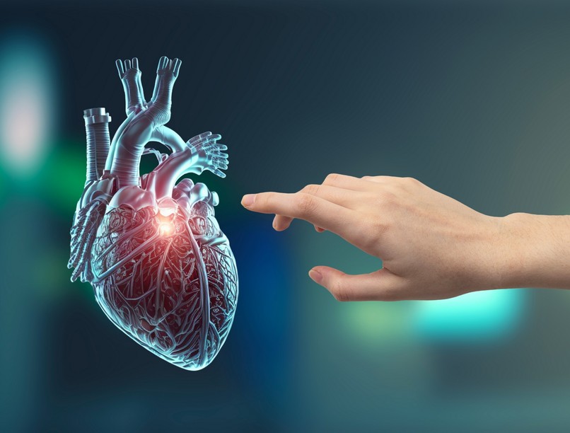 z generacio, richter, bosch verseny