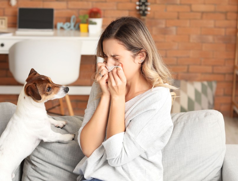 állatszőr, allergia, orvos, macskaszőr, kutyaszőr