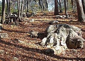 Gyógynövénynapok Bükkszentkereszten!