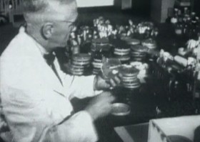 Egy ókori titok: gyógyító sör Núbiából