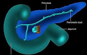 Hasnyálmirigy-rák: reménysugár az alagút végén?