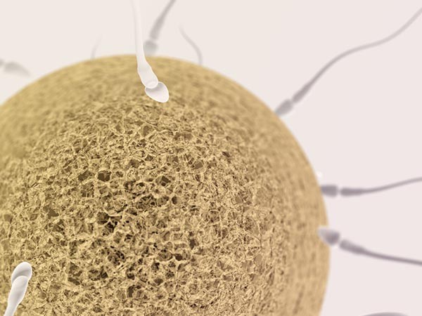 A alacsony progeszteronszint akadályozza a petesejt beágyazódását